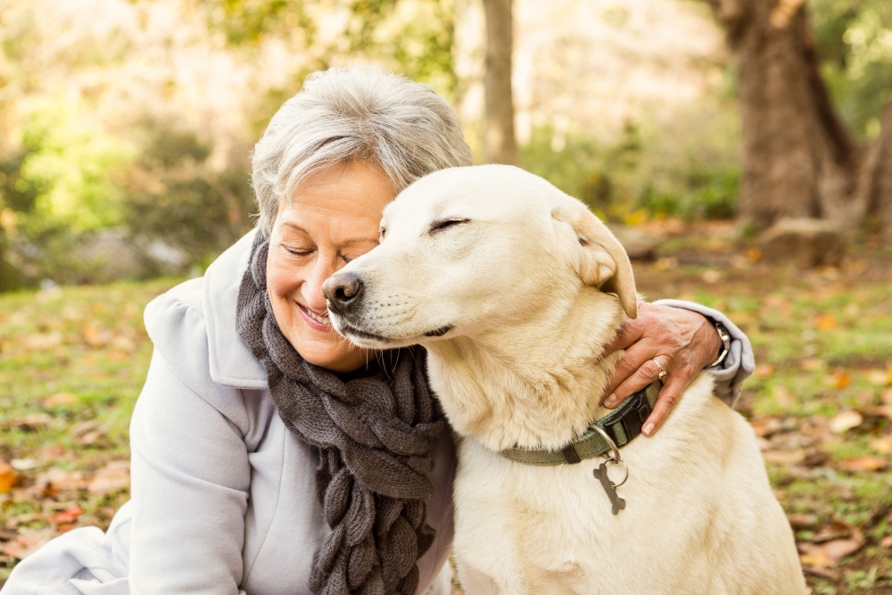 O a doua șansă: Adoptă un animal senior