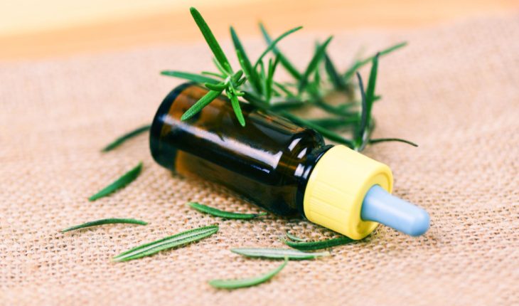 Tea Tree, remediul ideal pentru sănătatea scalpului și igiena orală