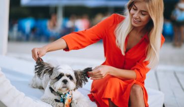 Ghid pentru vacanțe pet friendly în România