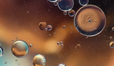 Cele mai importante descoperiri în domeniul cercetării stem-cell