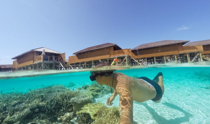 Palau: aventură marină în paradisul neștiut din Pacific