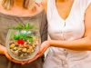 Alimentația bazată pe plante – tendințe și beneficii pe termen lung