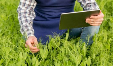 Planificare automatizată a udării și fertilizării prin tech