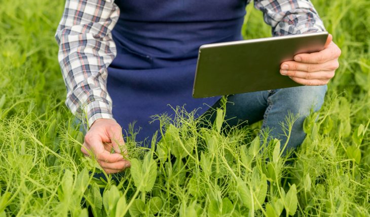 Planificare automatizată a udării și fertilizării prin tech Planificare automatizată a udării și fertilizării prin tech