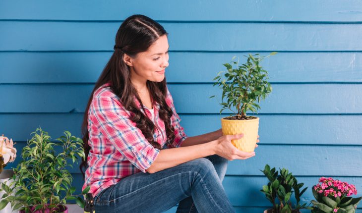 Grădina cu plante perene: avantaje și idei Grădina cu plante perene: avantaje și idei