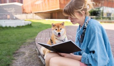 Cum să adopți un animal responsabil: ce trebuie să știi înainte